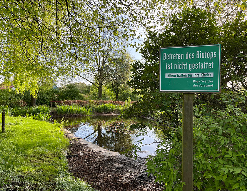 Teich im KGV Werder e.V.