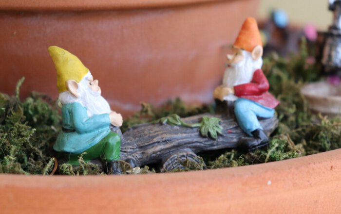 Gartenzwerge im Gespräch